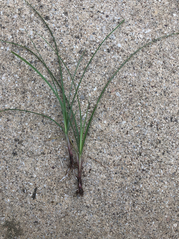 BDDE6402-891A-4EF4-95FB-8D0DD5516B8B