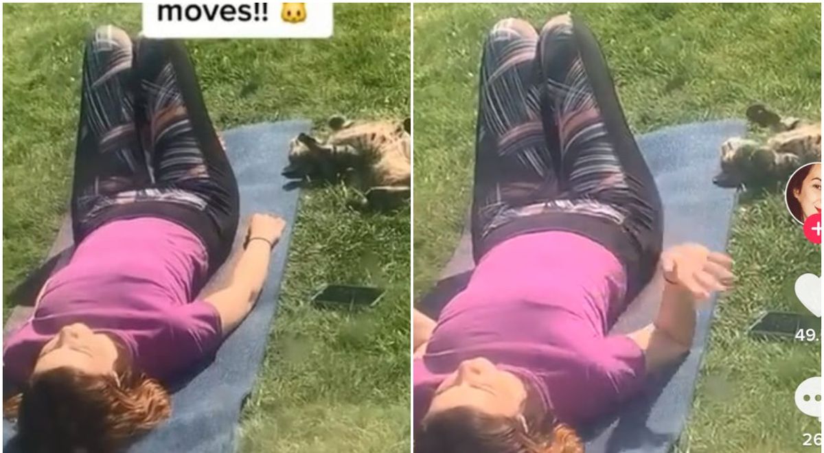 Buscó a su gato por horas y lo encuentra haciendo yoga en casa de la vecina