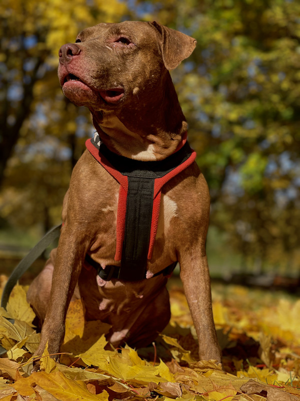 3C77B0C9-1062-4464-877E-D9C89CA06A11