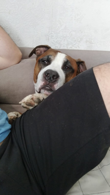 BD7193B4-A06E-49DB-AE50-C4A008714F5B