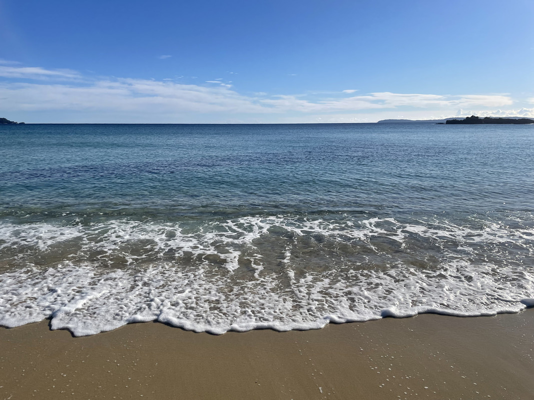 E140D7C5-6159-46FB-87CC-18D602291848