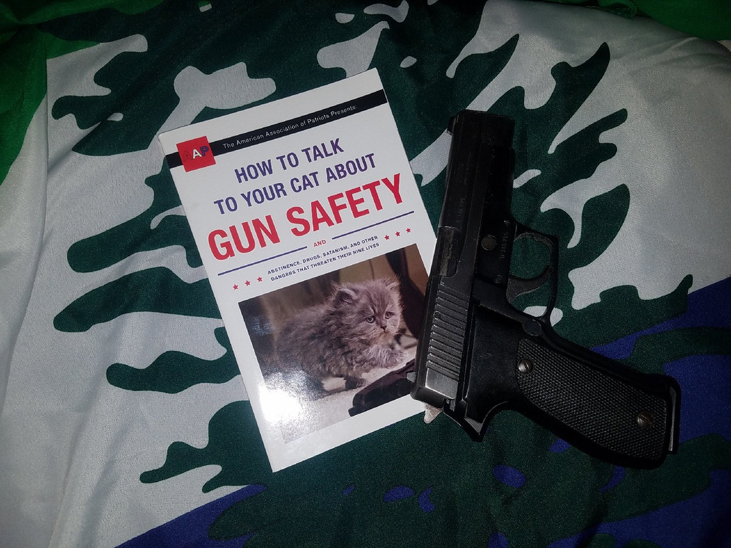 How to Talk to Your Cat About Gun Safety - Someone sent me this