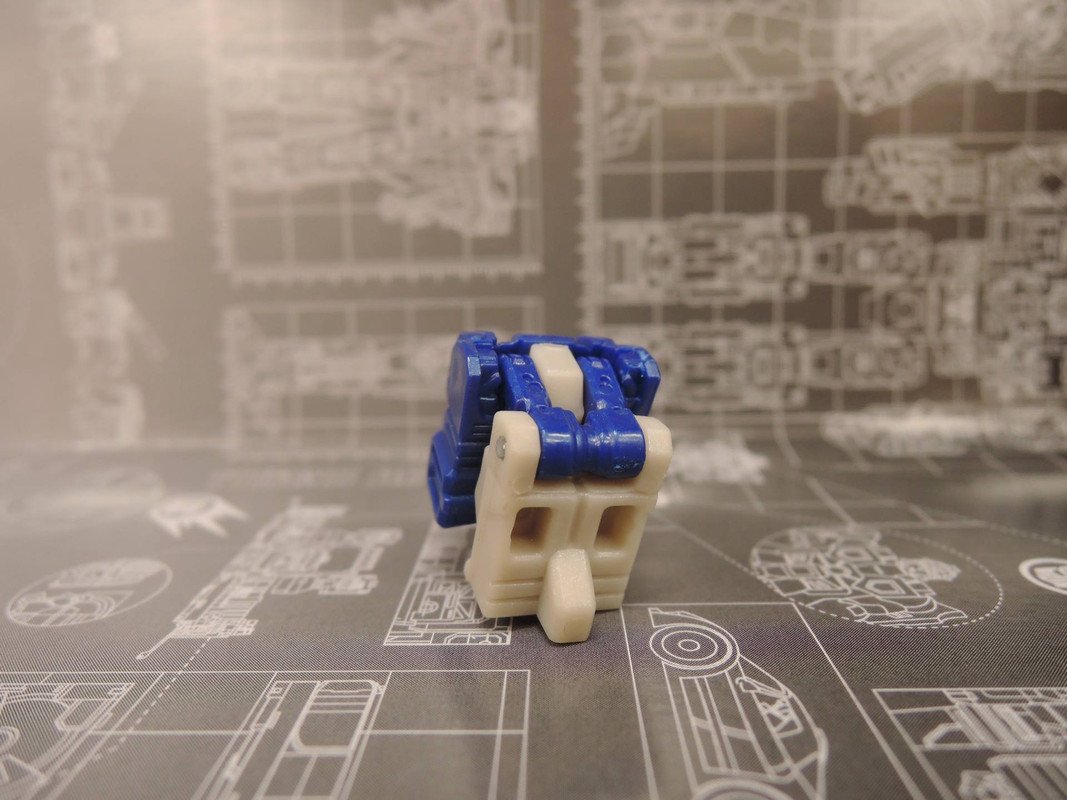 13323449_272135093136925_1254960988726169947_o