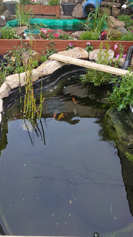 DSCPDC_0001_BURST20190704204941444