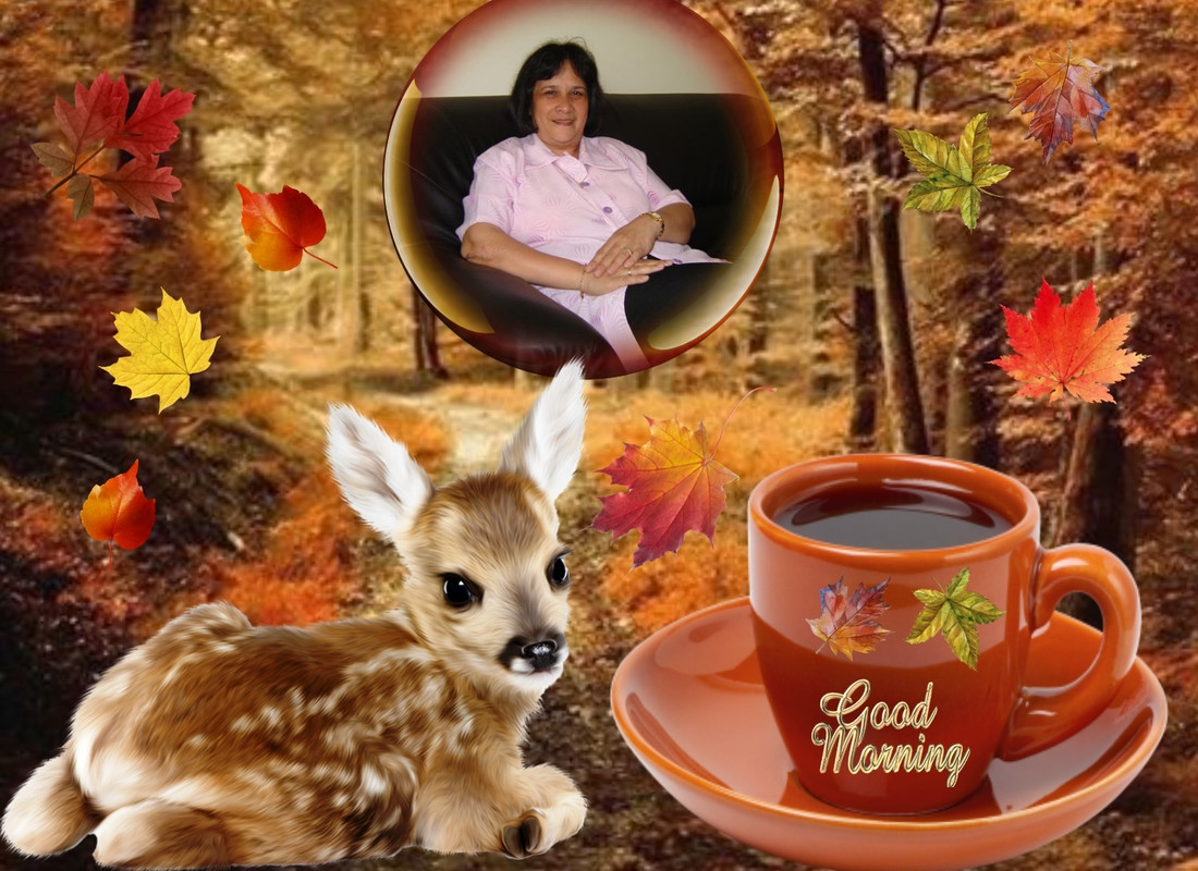 Image and video hosting by TinyPic