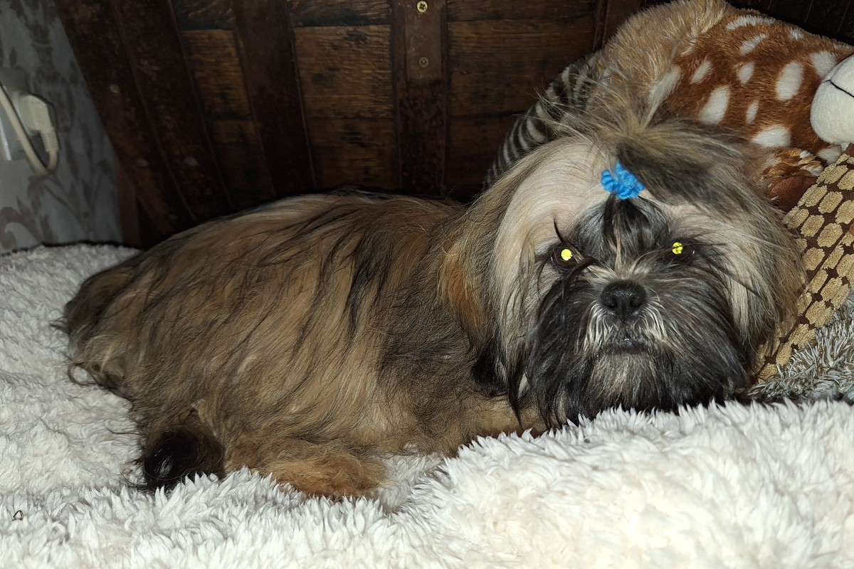 [Image: 20231220-130123.jpg]