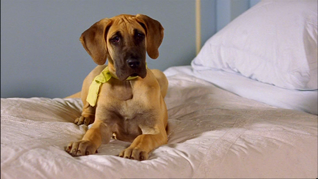 vlcsnap-2018-08-17-07h21m01s171