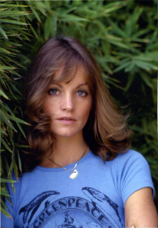 pamela_sue_martin_a41