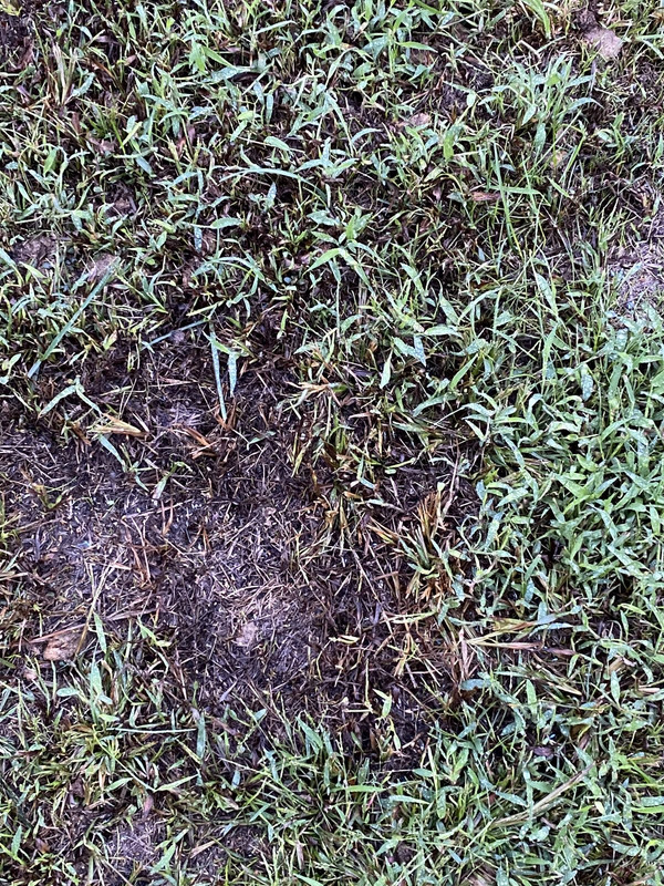 2EFA7D79-D277-4DC7-8BAA-75EA1FD82437