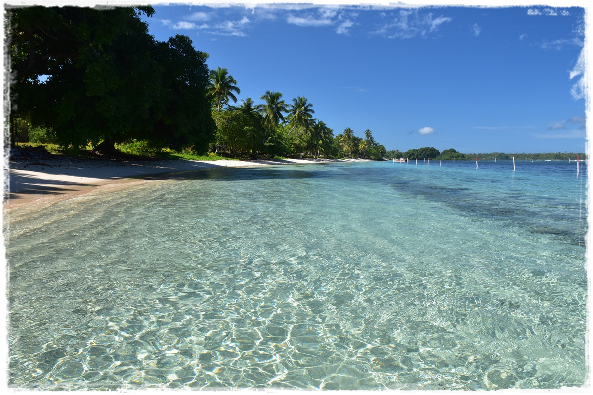 Día 6. Savai’i: costa sur - Talofa! Samoa, una perla en el Pacífico (1)