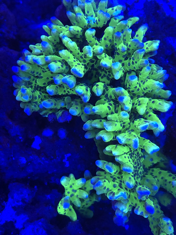 FAEE69B8-C684-4E58-B8D6-0EC694F96533