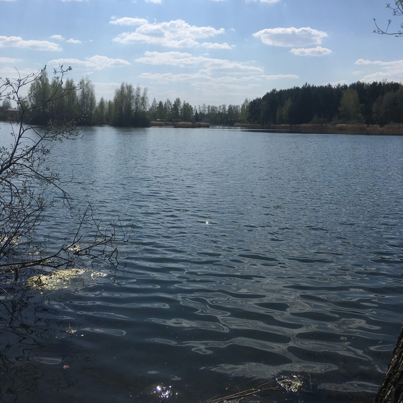 С телефона Мое и Барбье 121