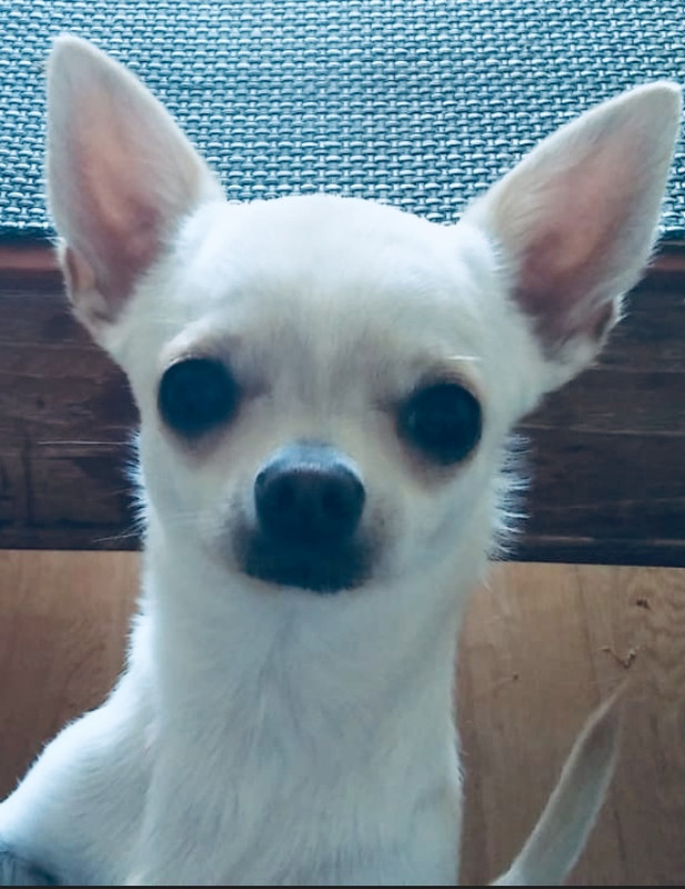 518B5CF0-AEAD-4DB9-B40B-506D83093F5B