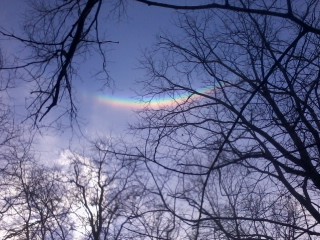 rainbow over deer stand