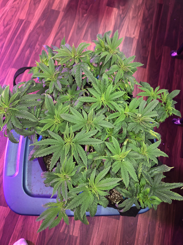 BDF96E27-C22F-4BE2-ADD1-0591AF45DFAC