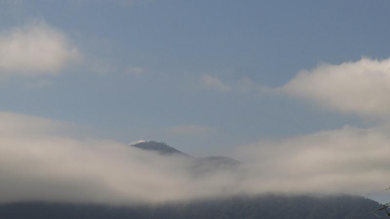IMG-0986