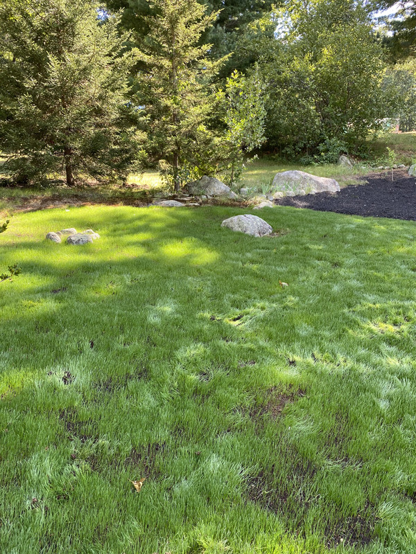 ACBBF3F2-FA91-4DAB-827D-6B271118A3D4