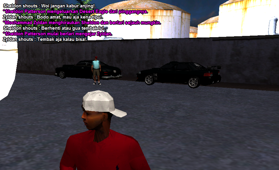 SS11.png