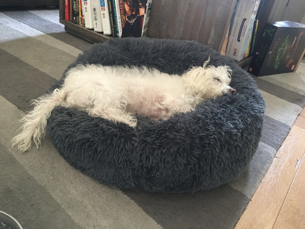 D7084E83-836C-4186-A79E-87D5957E14A5