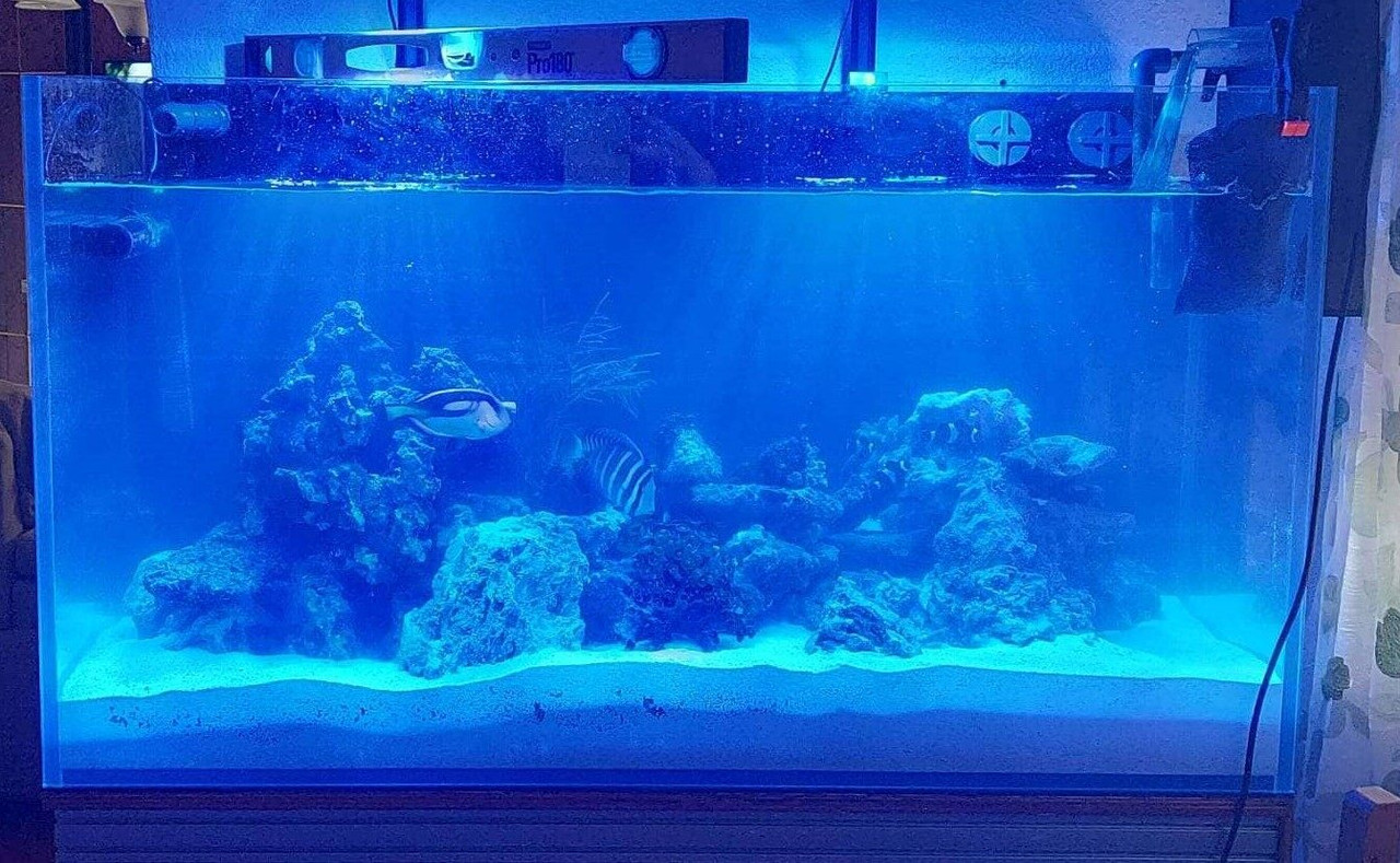 Senza titolo01(1)(1)