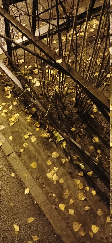 20251110 062210