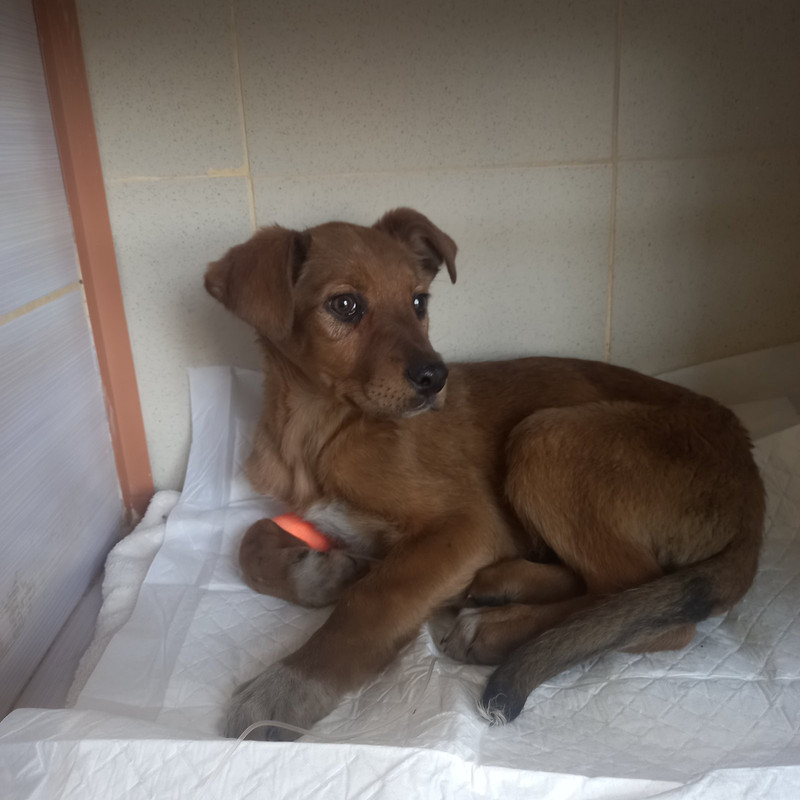 изображение_viber_2024-02-20_15-43-42-904