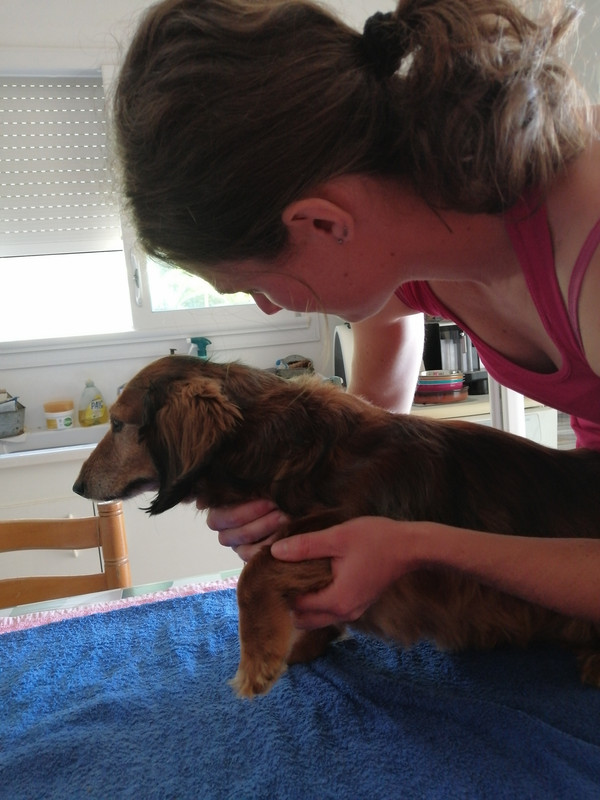 [Image: IMG-20240726-103033.jpg]