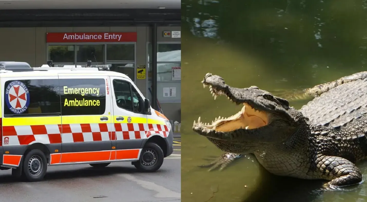 Hombre escapa del ataque de un cocodrilo en Australia, le mordió un ojo