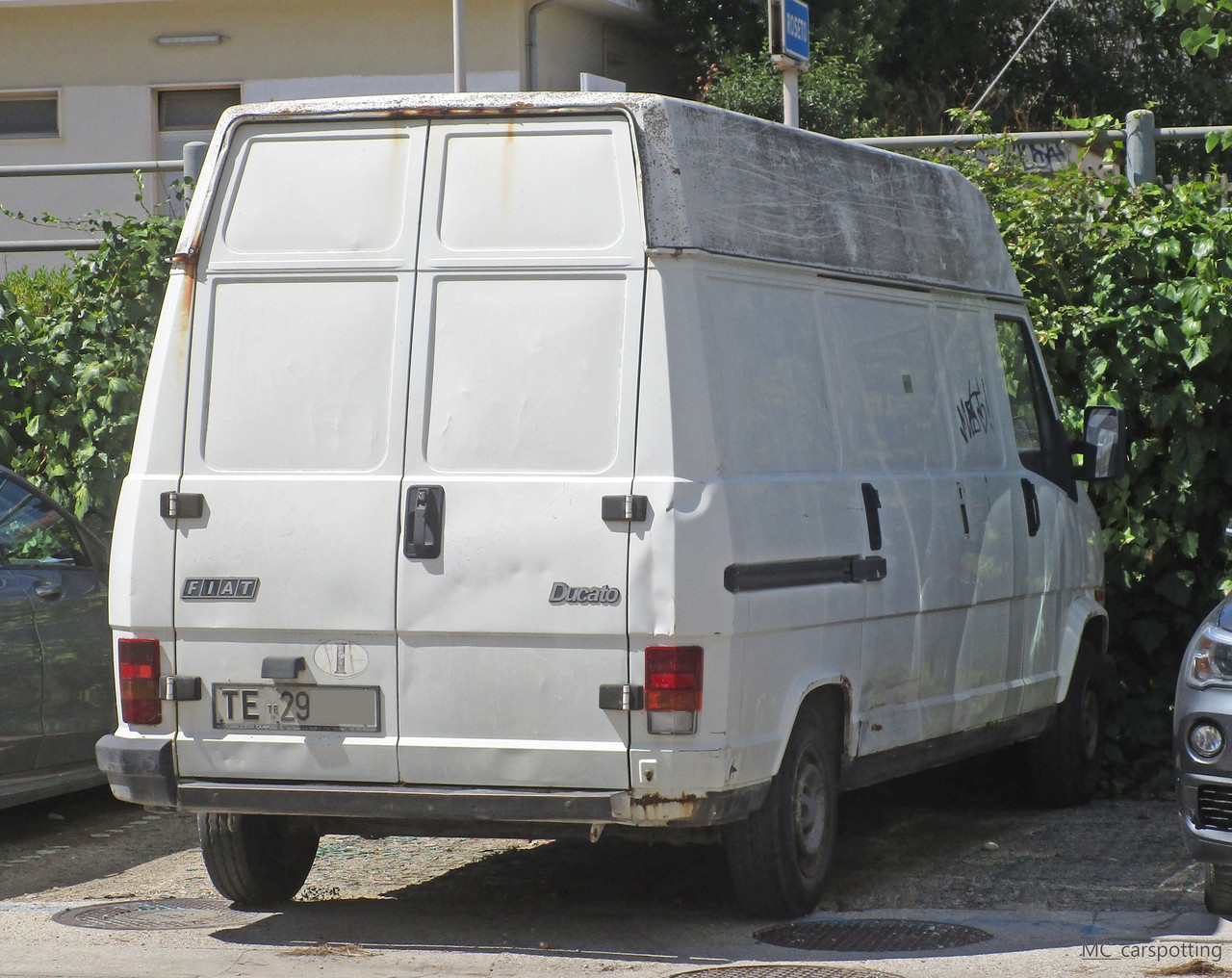 IMG-8731.jpg