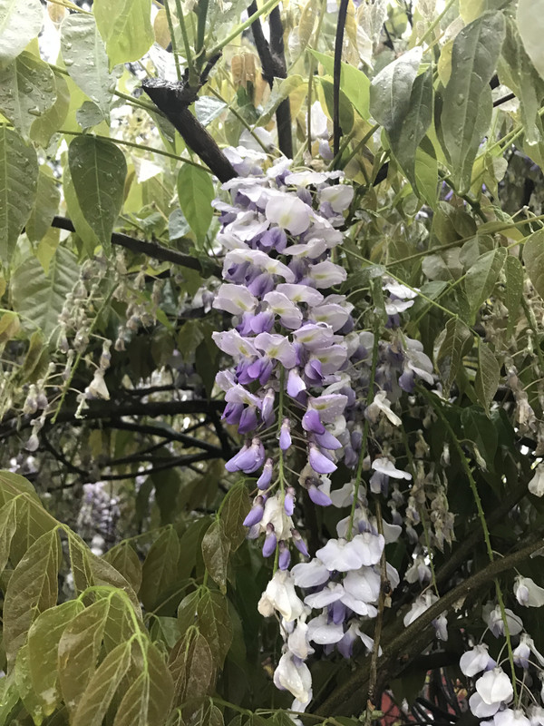 81C56B6B-38BD-4839-9870-9430BB4BC050