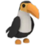 Toucan