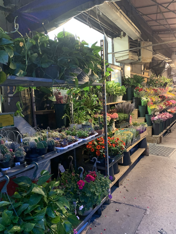 EDAA5ABE-A1AB-49BF-8D6F-88F11B11052D