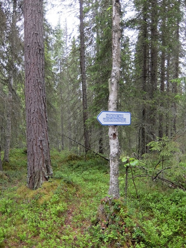 DSCF7183