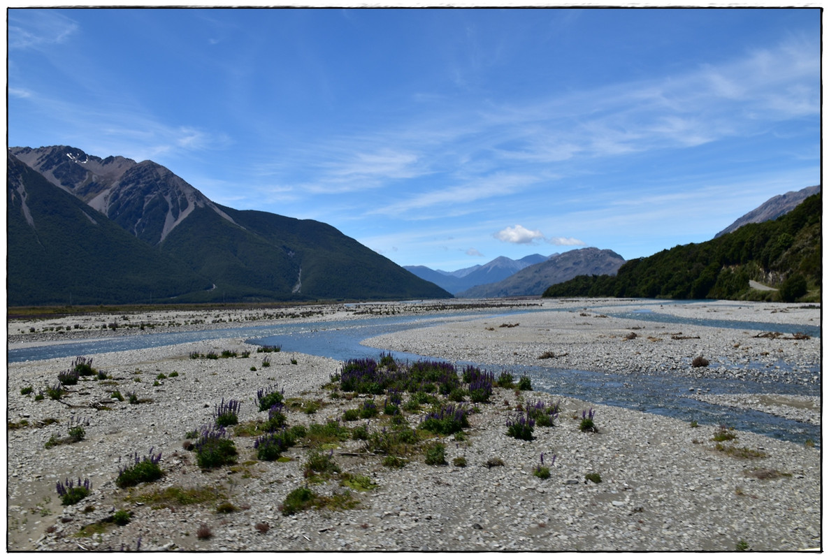 Arthur’s Pass: Bealy Spur Track y alguna cosilla más (diciembre 2021) - Escapadas y rutas por la Nueva Zelanda menos conocida (17)