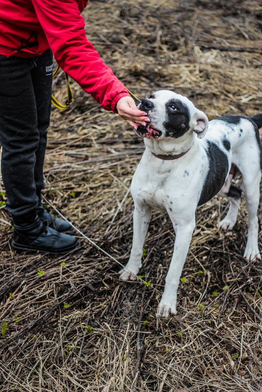 без имени-0311