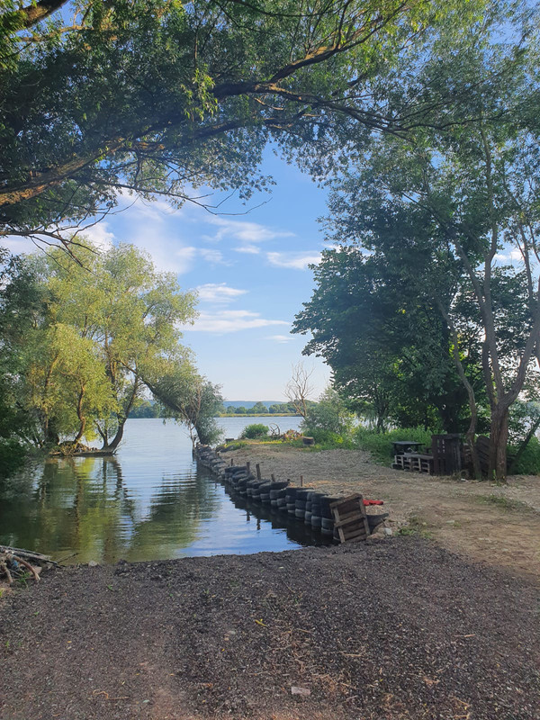 WhatsApp Image 2021-06-25 at 17.19.10 (1)