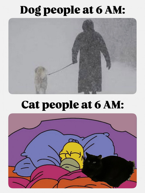 thumbs-picdump968-06.jpg