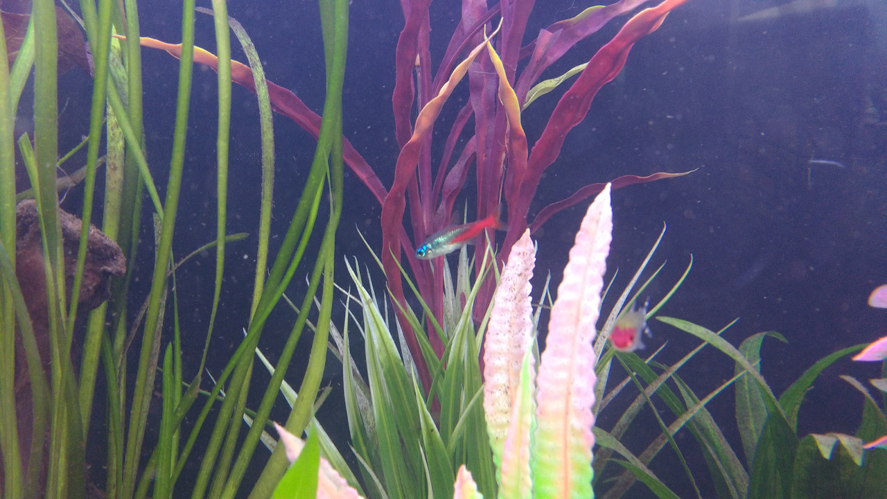 IMG_20170710_130531260