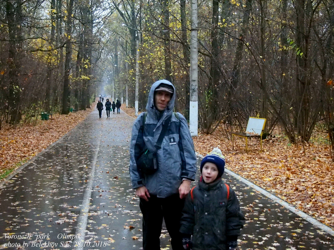 Воронеж, осень, парк