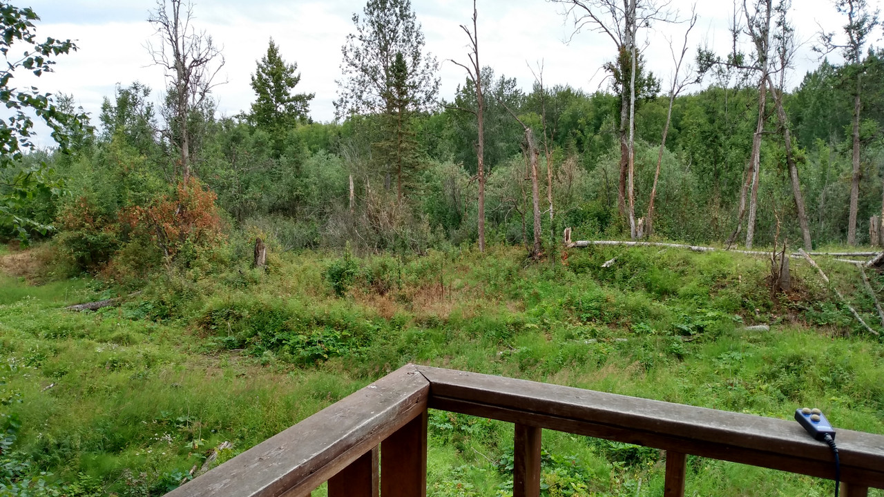IMG_20210807_131714952_HDR
