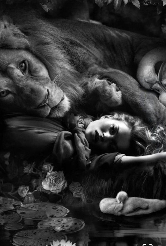 Screenshot_20230324_010550_Pinterest