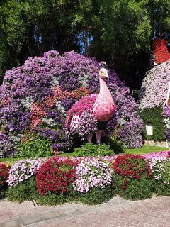 CONOCIENDO DUBAI: MIRACLE GARDEN -GLOBAL VILLAGE-IBN BATTUTA - Expo 2020 de Dubai, un viaje de diez (5)