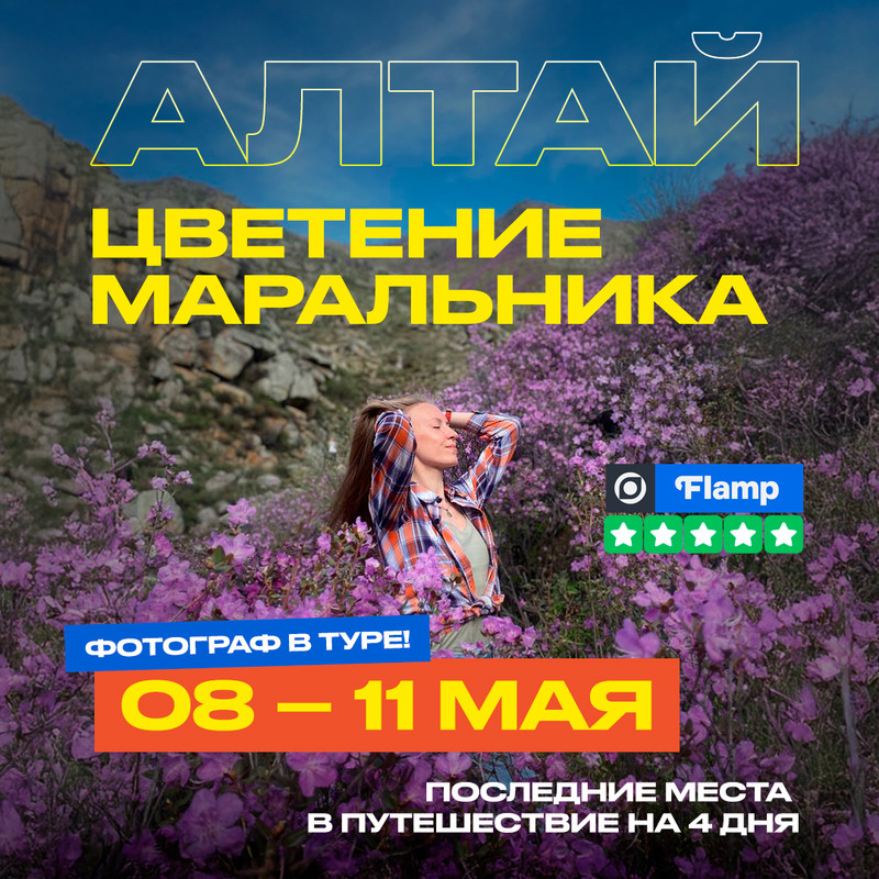 Цветение маральника Алтай