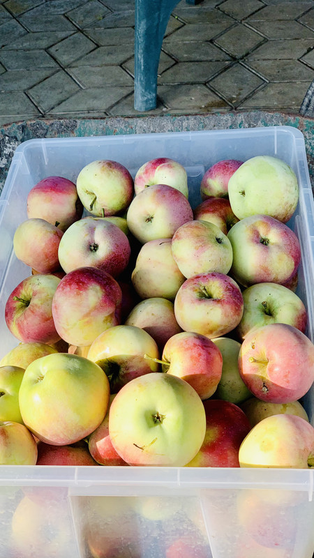 E279641E-8DBD-40D4-BF76-524BA531C5C3