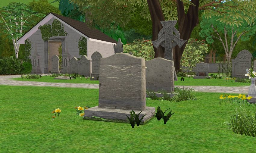 Sims2-EP9-2021-02-12-20-39-21-08
