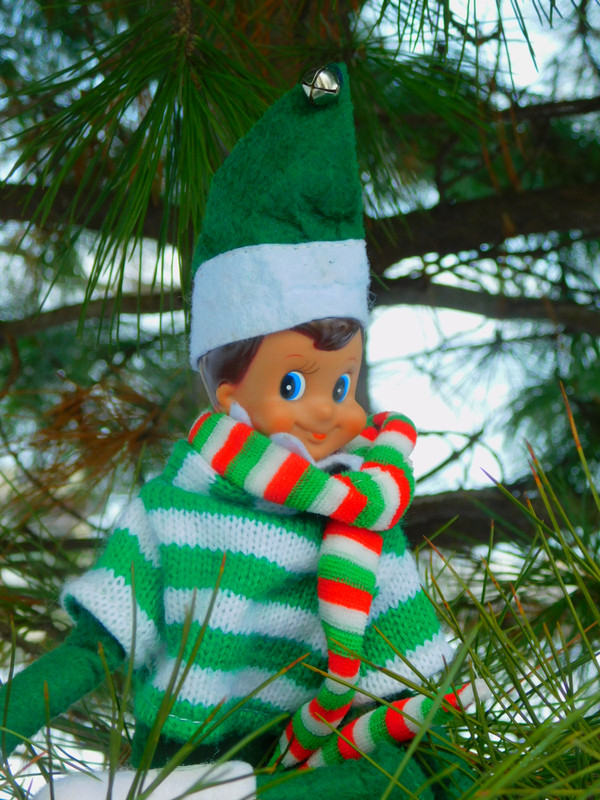 Февральское Коломенское 2023 021