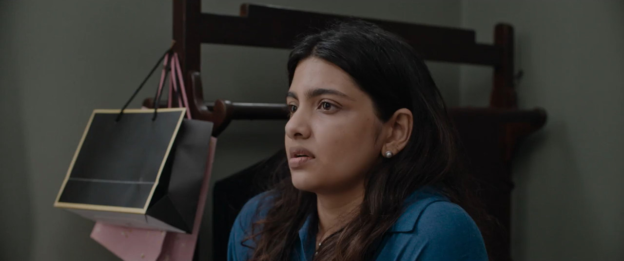 Dominic and the Ladies' Purse 2025 WebRip [Tamil + Telugu + Malayalam + Kannada] 480p 720p ESub Screenshot