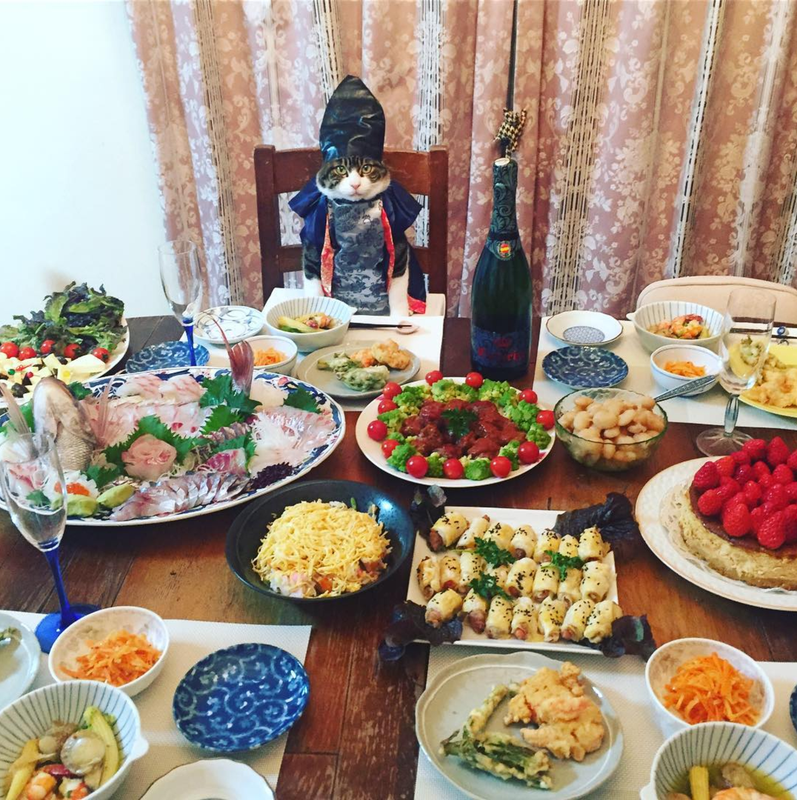 tumblr_oofpr0CRDn1qzfsnio6_r1_1280