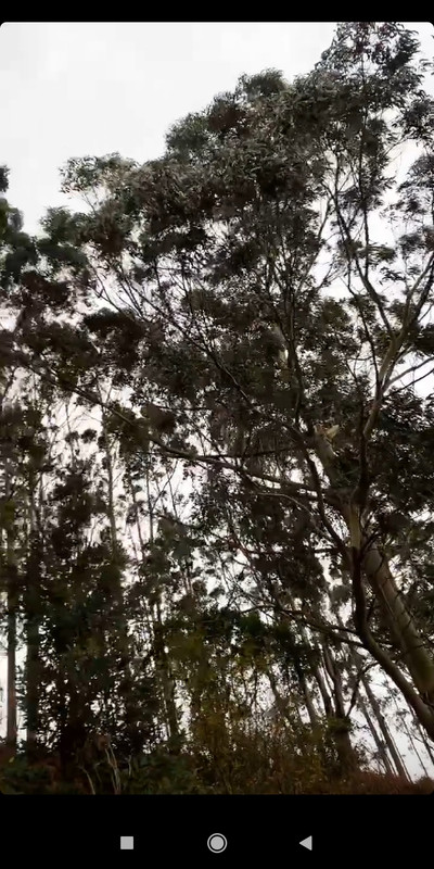 Screenshot_2020-12-27-19-33-29-873_com.instagram.android