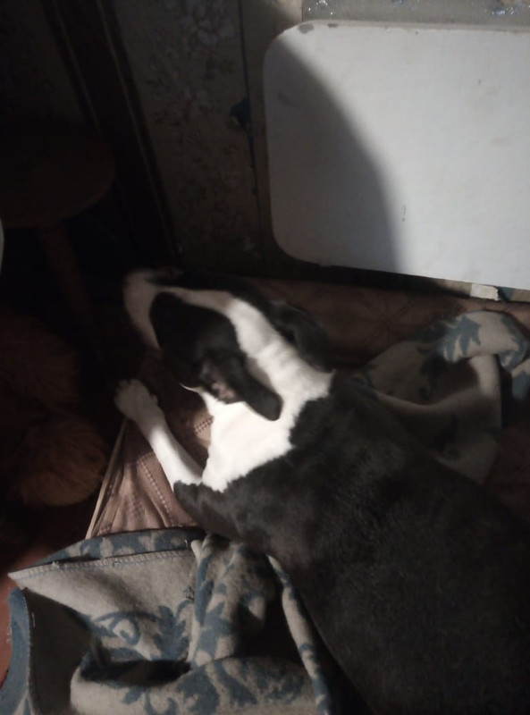 BB8E1196-1F16-460C-9108-7FCD808059BE